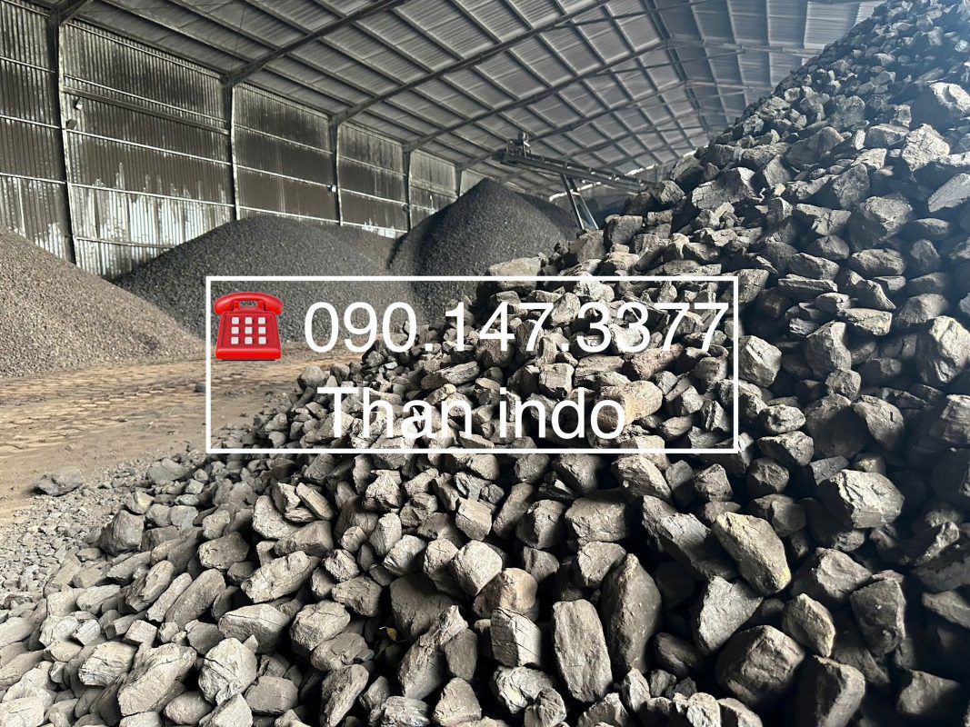 than indo tại Long an