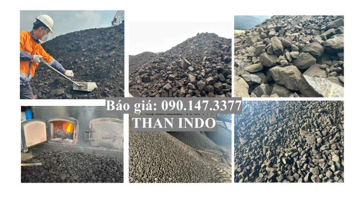 giá than indo tháng 12