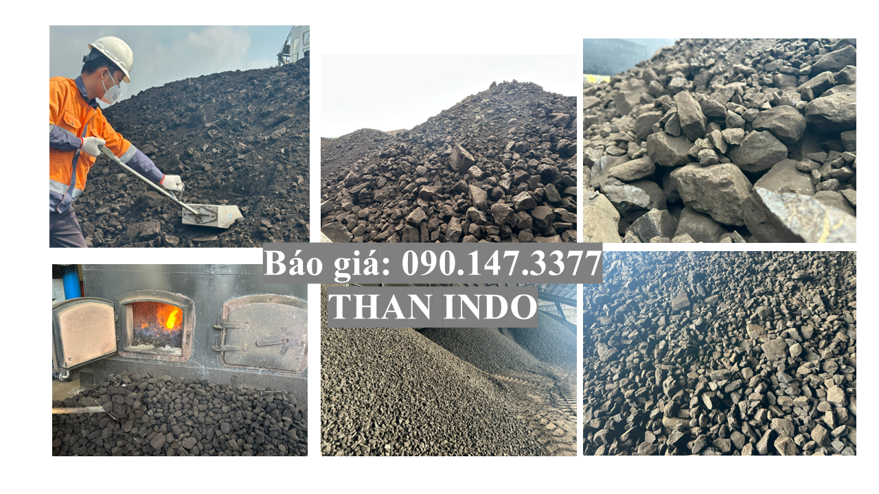 giá than indo tháng 12